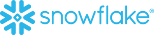 Snowflake Logo